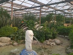 -南宫五洲植物乐园