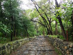 -阳台山自然风景区