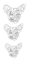 -众刺纹画·纹身·穿孔饰品·海娜定制