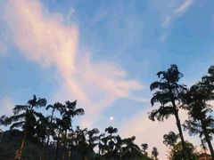 -重庆海昌加勒比海水世界