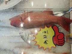 -新丁香海鲜酒店(银海商贸城店)
