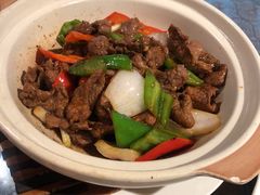 -梧桐庄园