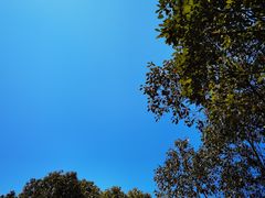 -院士公园