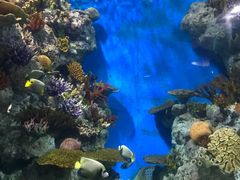 -福州罗源湾海洋世界旅游区