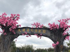 -天适樱花悠乐园