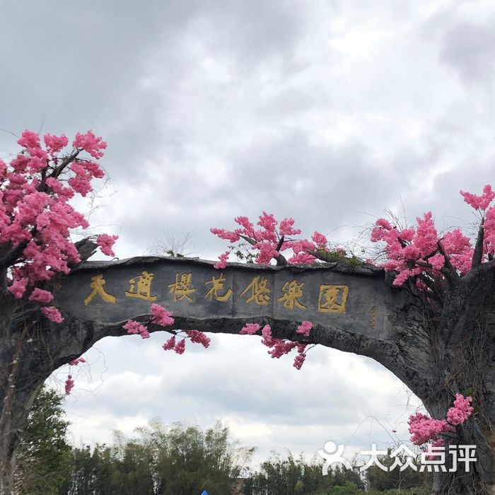 天適櫻花悠樂園