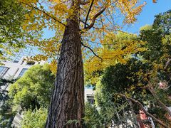 -沪东工人文化宫