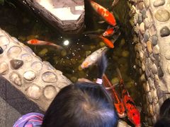-宴桃园(门头沟店)