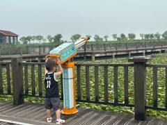 -新木器时代餐厅(太湖新天地店)