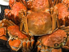 -王宝和酒家(黄浦店)