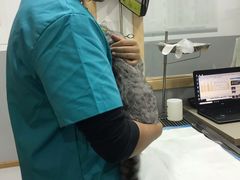 -嘉美宠物医院