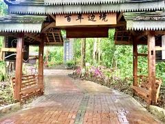 -打洛口岸