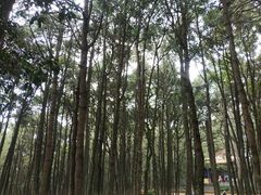 -昆明市金殿名胜区