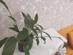 -Cocodemer女性健康·产后恢复(天一广场店)