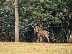 -上海怡沁园度假酒店