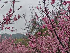-贵阳市花溪国家城市湿地公园