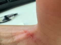 -三里屯土灶炖公鸡地锅鸡(江东店)