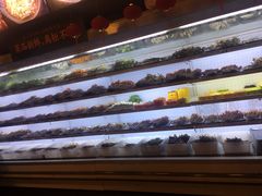 -镇江龙·火锅串串(武侯祠店)