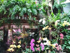 -正佳雨林生态植物园
