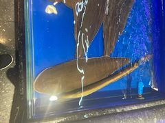 -万宝海鲜舫(劳动公园店)