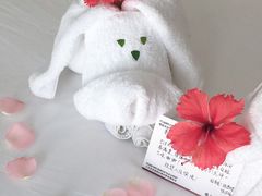-三亚亚龙湾雅高铂尔曼别墅度假酒店