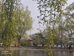-大书房咖啡(中传国交店)