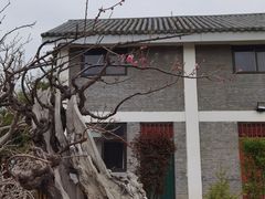 -郑州植物园
