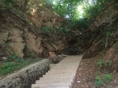 iphone_upload_pic-大鹿岛