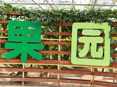-上海都市菜园