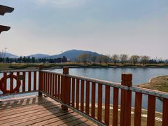 -羊亭河湿地公园