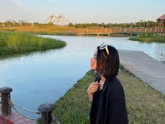 -春花秋色城市公园