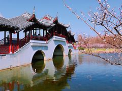 -上海海湾国家森林公园