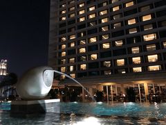 -新加坡文华东方酒店