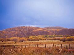 -塞罕坝国家级自然保护区