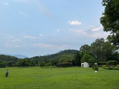 -福建鲤鱼洲酒店