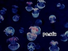 -波塞冬旅游度假区