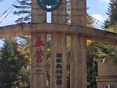 -五营红松林海景区