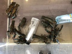 -鲜记螃蟹海产粥八德林森店