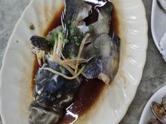 石斑鱼清蒸-四川小胡子海鲜(丁村万人海鲜广场店)