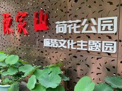 -陈家山荷花公园