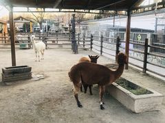 -北京市海淀外国语实验学校