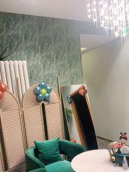 -卡尔诗·科技美肤连锁