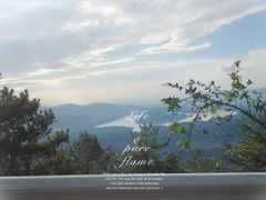 -武陵山森林公园