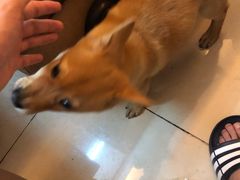 -西关云吞面世家(兰花路店)