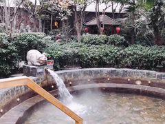 -西安国际创新人才交流中心•药浴温泉