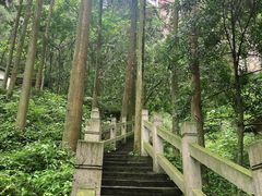 -雁荡山风景名胜区