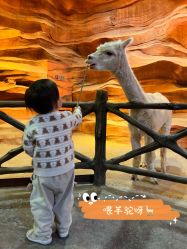 -酷嗒动物文化乐园(cutezoo西溪乐天城店)