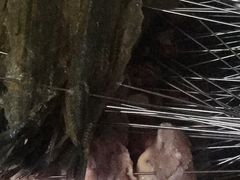 -永安烧烤