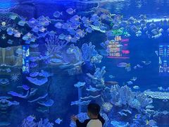 -左海海底世界