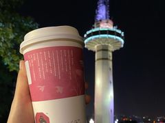 -茶颜悦色(岳麓山顶店)